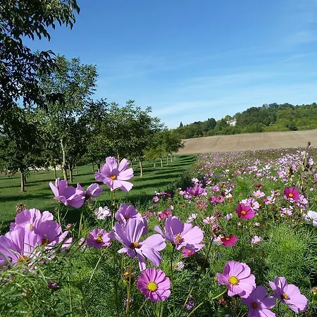 Le Vieux Velo Bed & Breakfast *